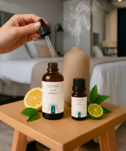 Alternative view of 2.02 Nuit d’Hiver