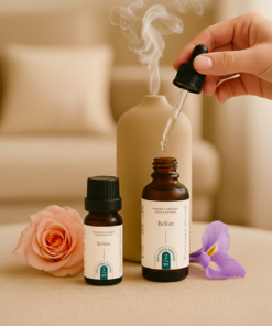 Alternative view of 2.04 Belize