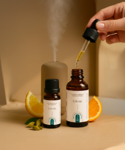 Alternative view of 2.05 Céleste