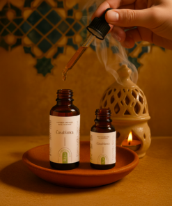 Alternative view of 3.01 Casablanca