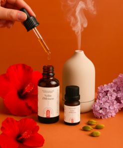 Alternative view of 4.02 Vallée d’Hibiscus