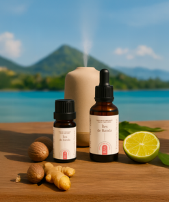 4.06 Îles de Banda