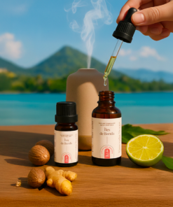 Alternative view of 4.06 Îles de Banda